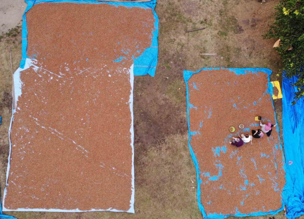 featured