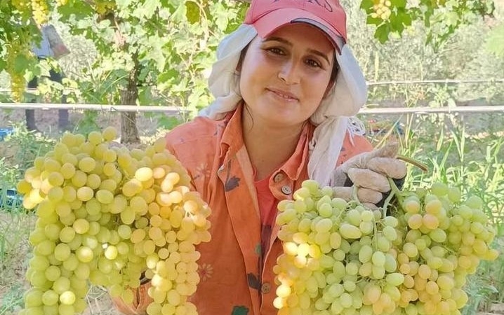 Üzüm Tüketimi: Sağlığınız İçin Şifa Deposu!