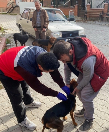 Emet’te Kedilere ve Köpeklere Mikroçip ve Aşı