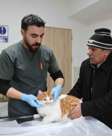 Fırat Üniversitesi: 9.600 Hayvana Şifa Kapısı