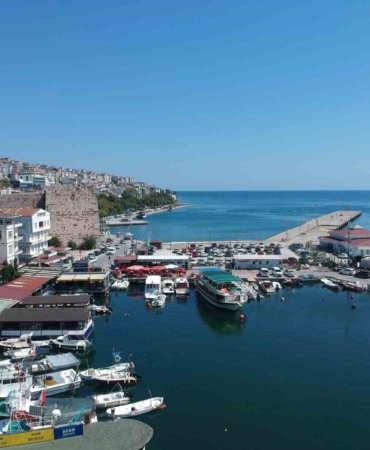 Sinop’ta 2 Ton Kilo Verildi, Sağlıklı Gelecek!