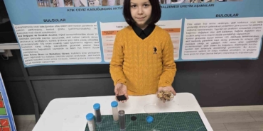 Ceviz Kabuğundan Çevre Dostu Yalıtım Malzemesi