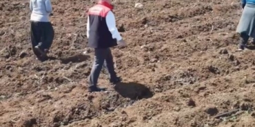 Elazığ’da domates üretiminde yeni sezon  başladı