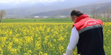 Ayçiçeği ve kuru fasulye tohumları çiftçilere teslim edildi