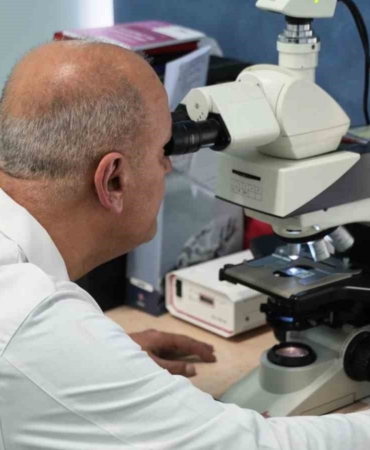 Trokserutin ile Nörodejeneratif Hastalıklara Umut