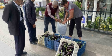 Ürettiği patlıcanlar maliyetini kurtarmayınca serasının kapılarını vatandaşlara açtı