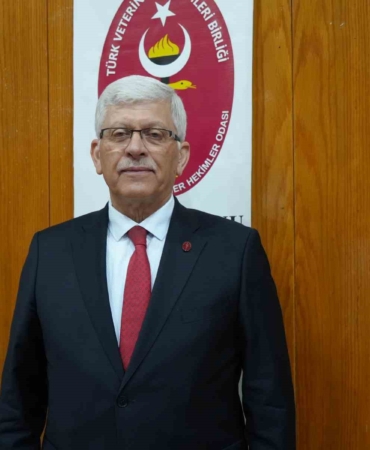 Kene Uyarısı: Hızla Müdahale Edin!