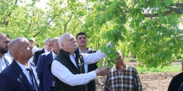 TZOB Genel Başkanı Bayraktar: “Iğdır’daki kayısı bahçelerimiz dondan zarar gördü”