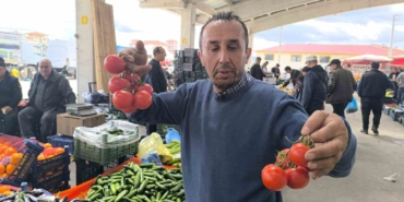 Domates fiyatlarının yüksek olmasının sebebi soğuk hava