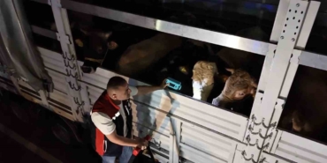 Kurban Bayramı İçin İstanbul’da Denetim Zamanı