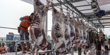 Uzunköprü’de Kurban Kesim Kursu Başlıyor!