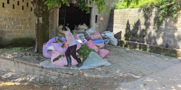 ÇAYKUR sezonun ilk gününde 900 ton çay aldı