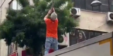 Pendik’te Martıya Vatandaşlardan Kurtarma Operasyonu!