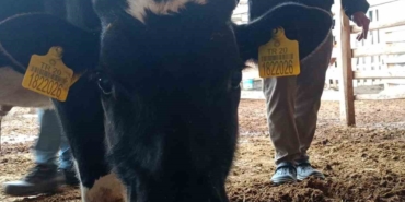 Minik Mert için Dayanışma Gecesi: 1 Milyon TL!