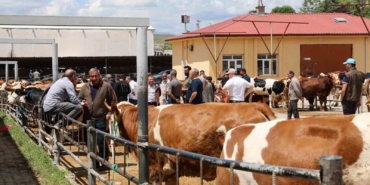 Elazığ Hayvan Pazarı’nda arife günü yoğunluğu