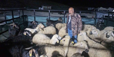 Elazığ Kurban Pazarı’nda Gece Mesaisi Başladı!