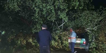 Bartın’da Fırtına: Ağaçlar Araçların Üzerine Düştü