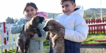 İzmir’de Sokak Hayvanları için Yeni Kampüs Başlıyor!