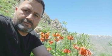 Yüksek Zirvede Ters Lalelerin Eşsiz Güzelliği