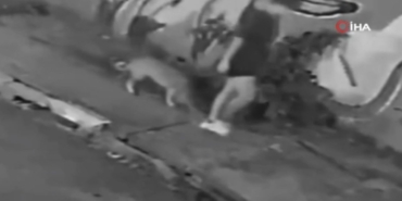 Köpeğiyle Gezerken Kanalizasyona Düştü!