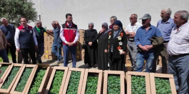 Tekirdağ’da 407 Üreticiye 256 Bin Fide Dağıtıldı