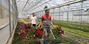Ordu’da Çiçek Üretimi ile Şehir Estetiği Artıyor